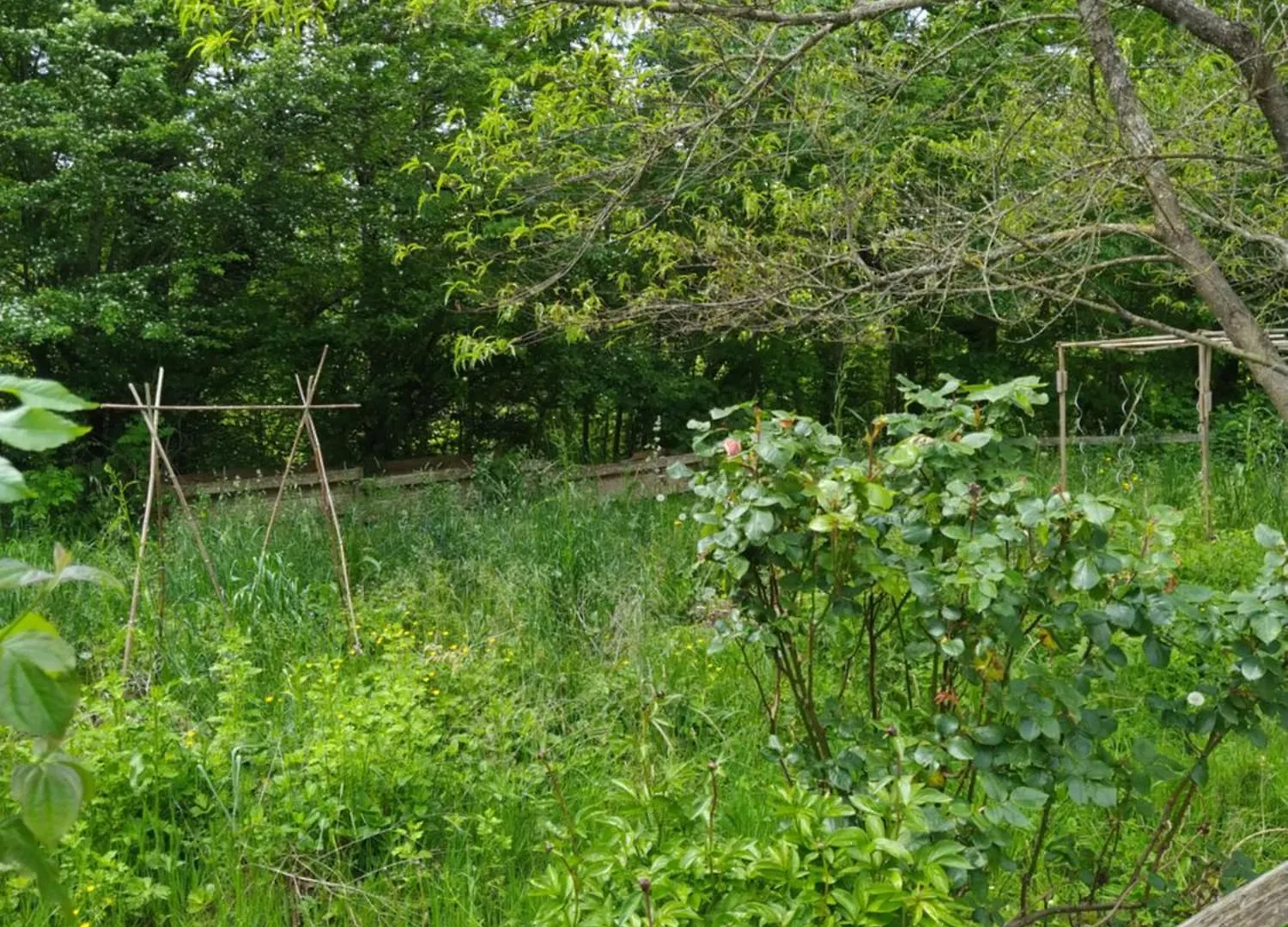 Ecolodge Les Sentiers Du Lac - Domaine De La Gaia Сорезе 0*,  Франция